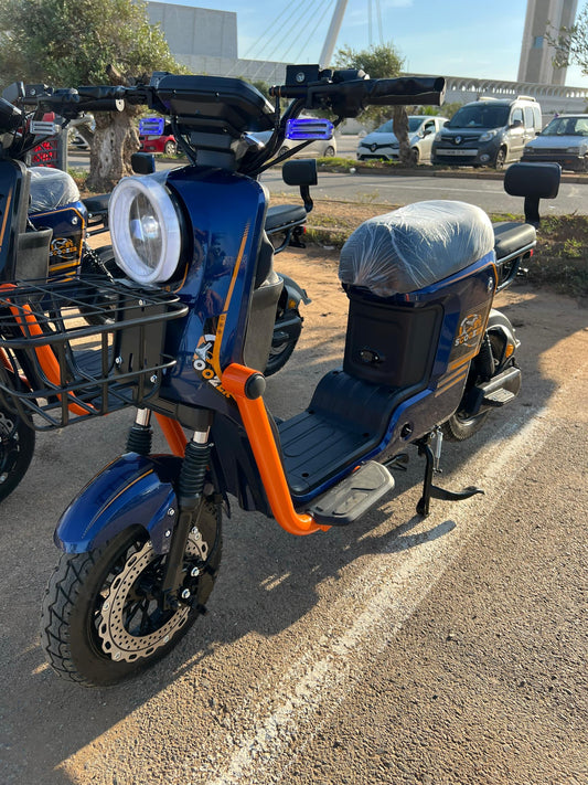 Scooter Scoozer 1200w 2025